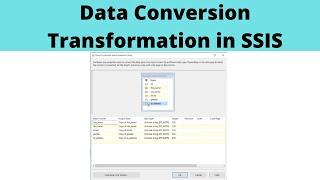 28 Data Conversion Transformation in SSIS