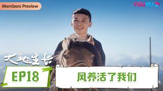 【大地生长】EP18 风养活了我们 | 刘亮程新疆漫游记 | 优酷纪实人文 YOUKU DOCUMENTARY