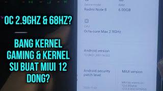 2 Saran Kernel gaming & KernelSu Buat Rom Miui 12 Android 10 Overclock 2,9ghz & 68Hz?