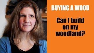 Buying a Wood: Can I build on my woodland?