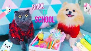 Кошечка Баттерс И Шпиц Элис ИДУТ В ШКОЛУ | Канцелярия в Школу - BACK TO SCHOOL