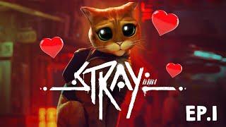 Stray - The cat simulator we didn't know we needed! EP 1