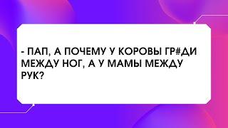 Пап, а почему у коровы грyди между ног, а у мамы между рук?  Анекдоты для хорошего настроения!