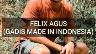 GADIS MADE IN INDONESIA (LIRIK) -  FELIX AGUS