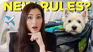 Traveling with your DOG to the USA after Aug 1, 2024?  Here’s what you need to know