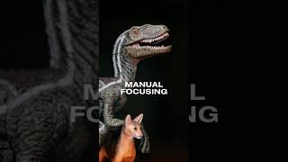 How to manually focus