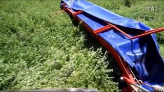 Chinese high quality tractor rear mounted disc mower