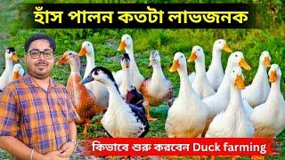 হাঁস পালন কতটা লাভজনক। কিভাবে শুরু করবেন Duck farming.Duck farming in West Bengal.