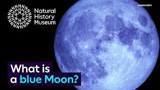 What is a blue Moon? | Surprising Science