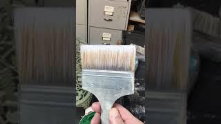 Coach painting your car at home with 2 brushes only