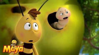 The Bee School - Maya the Bee - FULL COMPILATION