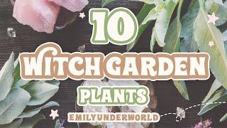 10 Magickal Herbs and Plants For Witch Gardens  Witchcraft For Beginners