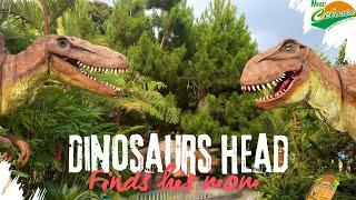 Dinosaur Reunion: A Jurassic Gathering at Dino Land New Celosia