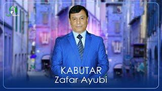 Зафар Аюби - Кабутар / Zafar Ayubi - Kabutar
