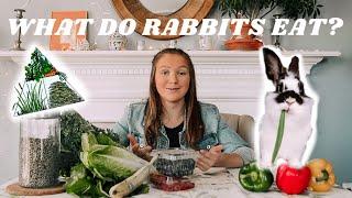 WHAT I FEED MY RABBITS | Bunny daily diet!