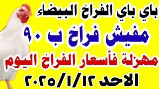 اسعار الفراخ اليوم/ سعر الفراخ البيضاء اليوم الاحد 2025/1/12 في مصر جمله وقطاعي