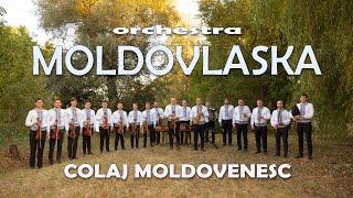 Colaj Moldovenesc - orchestra MOLDOVLASKA | Dorin Buldumea si Veaceslav Stefanet | 4k video