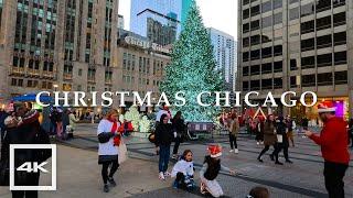 Chicago Christmas Lights 2024  Walking Tour | 4K HDR