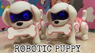 UNBOXING ROBOTIC PUPPYROCK ROBOT DOG#shorts  #unboxing