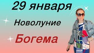  29 января НОВОЛУНИЕ  Что это - значит ?….. Розанна Княжанская