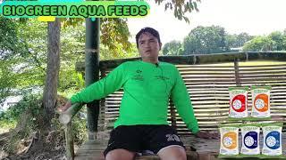 BIOGREEN AQUA FEEDS