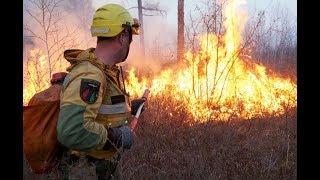 Fires in Yakutia 2013 Transbaikal residents - Extinguishing forest fires