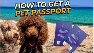 GET A PET PASSPORT - I show you how