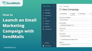 How to Launch an Effective Email Marketing Campaign with SendMails.io