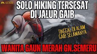 MERINDING! KISAH PENDAKI SOLO HIKING TERSESAT DI JALUR GAIB DAN TINGGAL SELAMANYA DI GUNUNG SEMERU!?