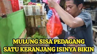 MULUNG SATU KERANJANG ISINYA ⁉️ ALHAMDULLILAH PANEN PERDANA LAGI HASILNYA SATU KERESEK