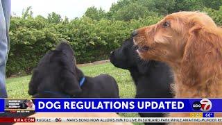 In effort to prevent rabies, CDC launches new rules for bringing dogs into the US