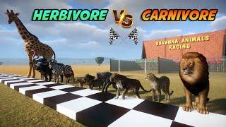 Carnivore VS Herbivore Savanna Animals Race in Flat Track included Lion, Giraffe, Ostrich & Zebra