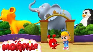 Giant Animals | Morphle TV #shorts | Fun Kids Cartoon