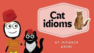 Vlog 1 - Cat idioms (red level)