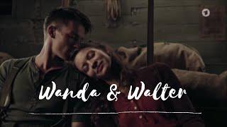 Wanda & Walter - The Turncoat