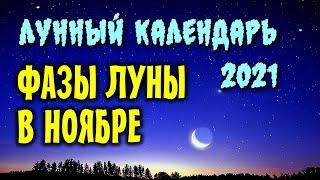 Луна в НОЯБРЕ 2021. Фазы. Когда лучше стричь волосы, благоприятные дни.