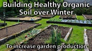 How to Build Soil over Winter Ready for Spring to Grow Amazing Vegetables