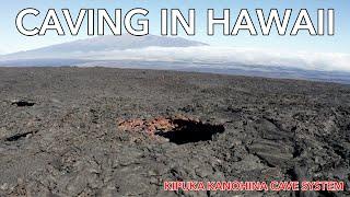 Exploring the Kipuka Kanohina Cave System on Hawaii