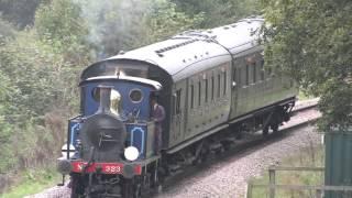 Tank Engines at work on the Bluebell railway