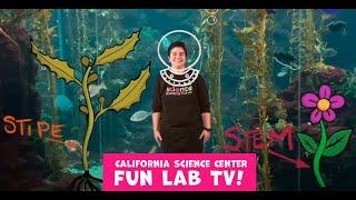 California Science Center Fun Lab TV (Episode 6)