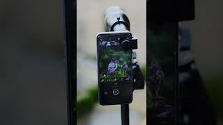 Apexel 60X Super Zoom Lens for Mobile 