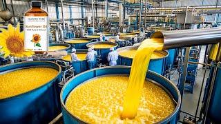 How Sunflower Oil Is Made In Factory? | Captain Discovery