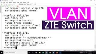 How to configure VLAN on the ZTE Switch | NETVN