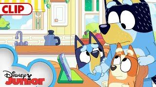 Bluey Season 3 Episode 24 "Faceytalk" Episode Clip | @disneyjr | @BlueyOfficialChannel​