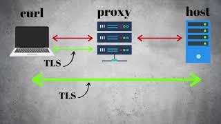 cURL TLS 1.3 session ticket proxy host mixup Vulnerability