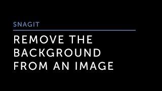 Remove the Background From an Image in Snagit