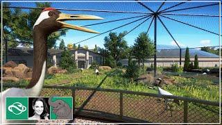 Building a Realistic Red-Crowned Crane Aviary in Planet Zoo City Zoo