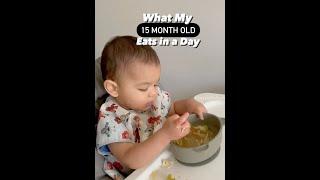 What my 15 Month Old Eats in a Day   Baby Led Weaning Recipes            My little Brick House