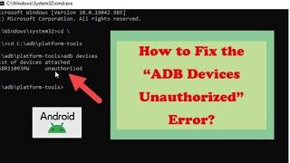 ADB devices offline fixed