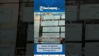 Viral Wanita Selingkuhan Datangi Kantor Oknum PNS #Shorts #TRIBUNLAMPUNG